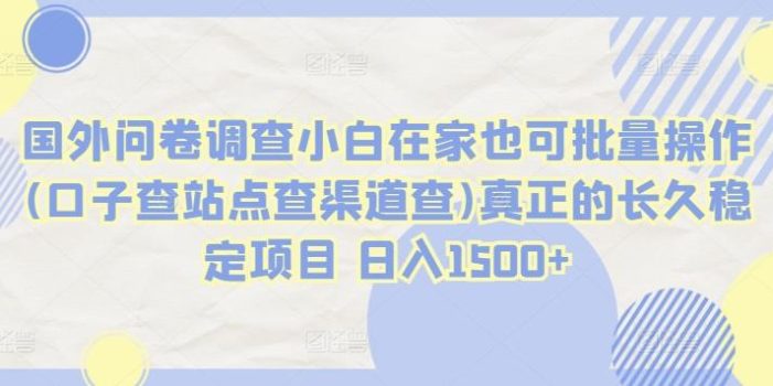 国外问卷调查小白在家也可批量操作(口子查站点查渠道查)真正的长久稳定项目 日入1500+【揭秘】