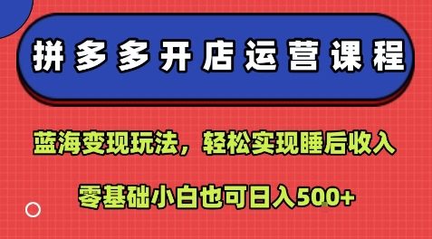 拼多多开店运营课程:蓝海变现玩法,轻松实现睡后收入,零基础小白也可日入5张