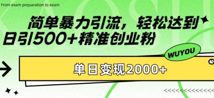 简单暴力引流,轻松达到日引500+精准创业粉,单日变现2k【揭秘】