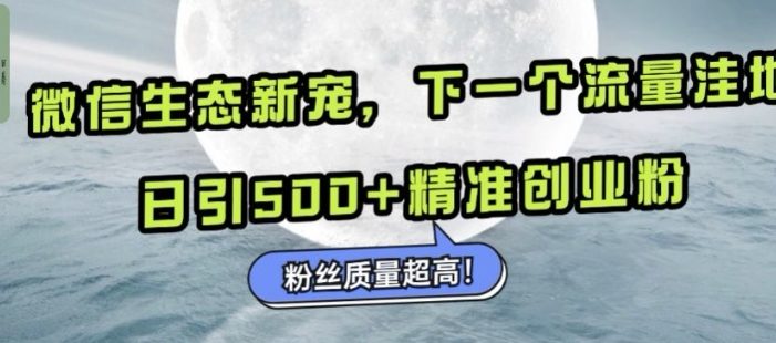 微信生态新宠小绿书:下一个流量洼地,日引500+精准创业粉,粉丝质量超高