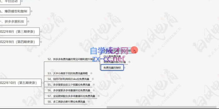 白凤电商·拼多多日销千单训练营(更新7月)