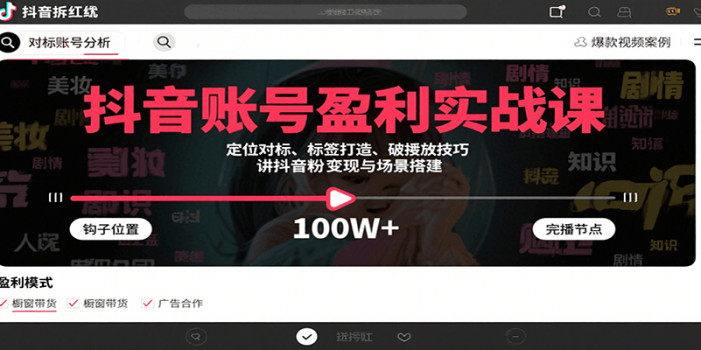 抖音账号盈利实战课,定位对标、标签打造、破播放技巧,讲涨粉变现与场景搭建