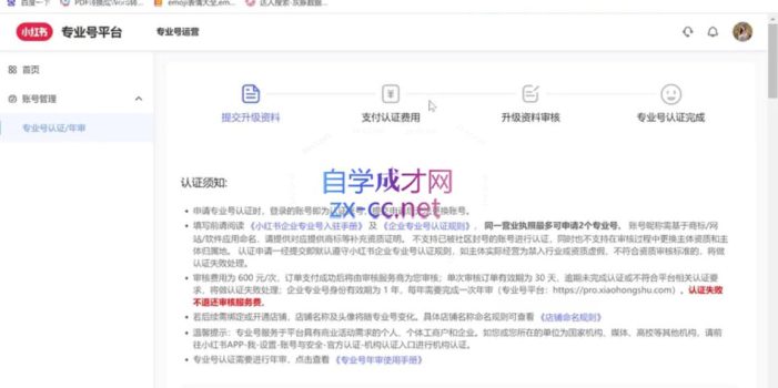 钟小铃·小红书达人陪跑计划第四期