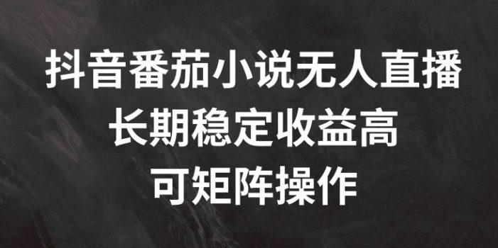 抖音番茄小说无人直播,长期稳定收益高,可矩阵操作【揭秘】