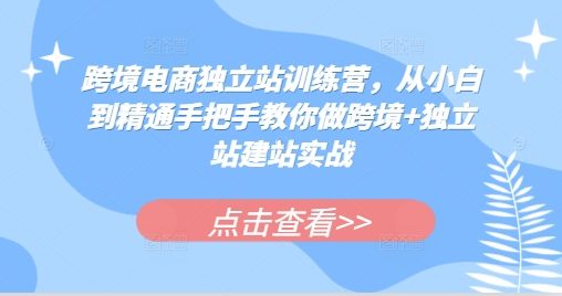 跨境电商独立站训练营,从小白到精通手把手教你做跨境+独立站建站实战