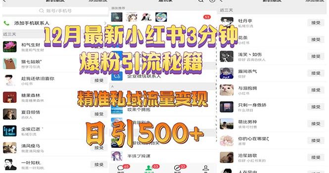 12月最新小红书3分钟爆粉引流秘籍 精准私域流量变现 日引500+