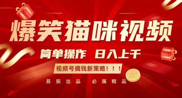 爆笑猫咪视频:简单操作,日入过K,视频号搞钱新策略【揭秘】