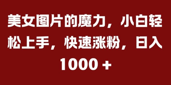 美女图片的魔力,小白轻松上手,快速涨粉,日入几张【揭秘】
