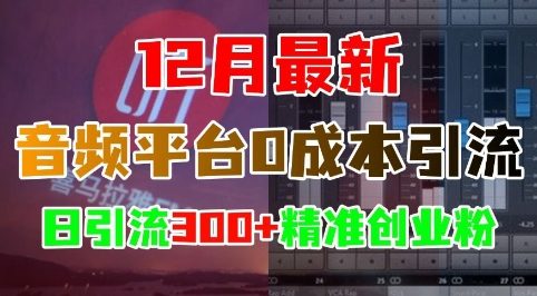 12月最新:音频平台0成本引流,日引流300+精准创业粉