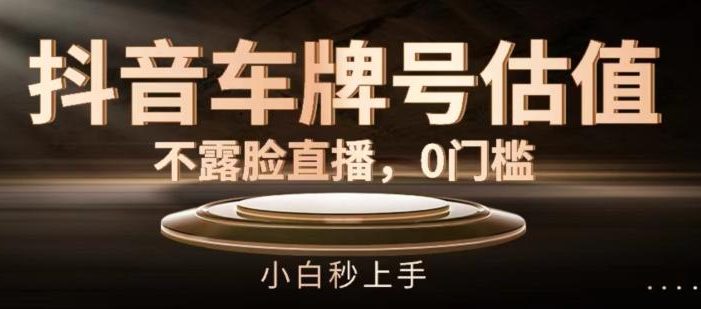 抖音车牌号估值,不露脸直播,0门槛,小白秒上手【揭秘】