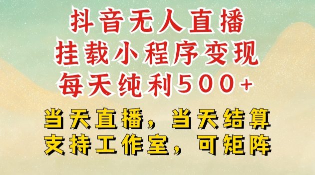 抖音无人直播挂载小程序变现每天纯利500+当天直播,当天结算支持工作室,可矩阵【揭秘】