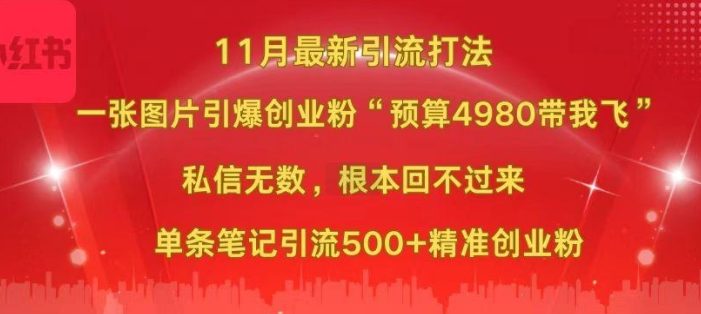 小红书11月最新图片打粉,一张图片引爆创业粉,“预算4980带我飞”,单条引流500+精准创业粉
