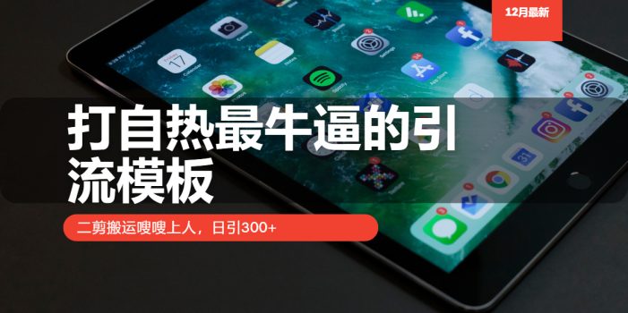 打自热最牛逼的引流模板,二剪搬运嗖嗖上人,日引300+
