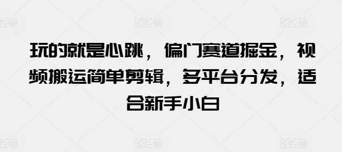 玩的就是心跳,偏门赛道掘金,视频搬运简单剪辑,多平台分发,适合新手小白【揭秘】