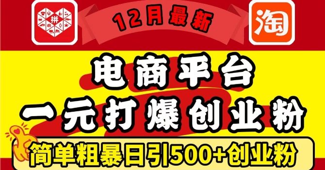 12月最新:电商平台1元打爆创业粉,简单粗暴日引500+精准创业粉,轻松月入过W【揭秘】