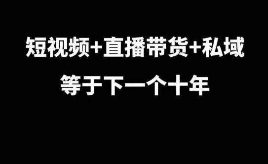 短视频+直播带货+私域等于下一个十年,大佬7年实战经验总结