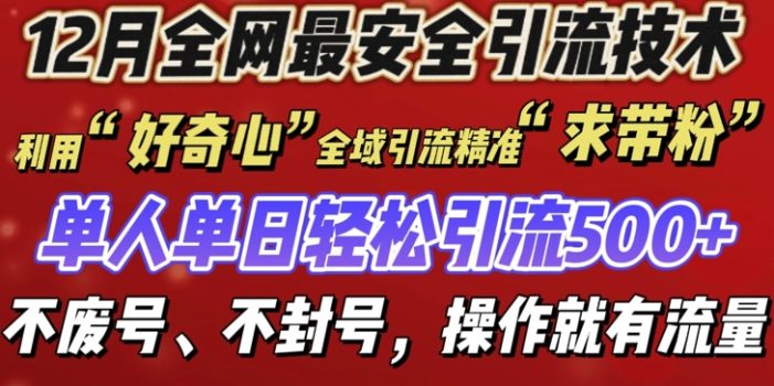 12 月份全网最安全引流创业粉技术来袭,不封号不废号,有操作就有流量【揭秘】