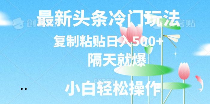 最新头条冷门玩法,隔天就爆,复制粘贴日入500+