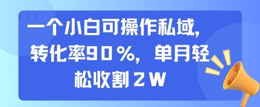 一个小白可操作私域,转化率90%,单月轻松收割2W