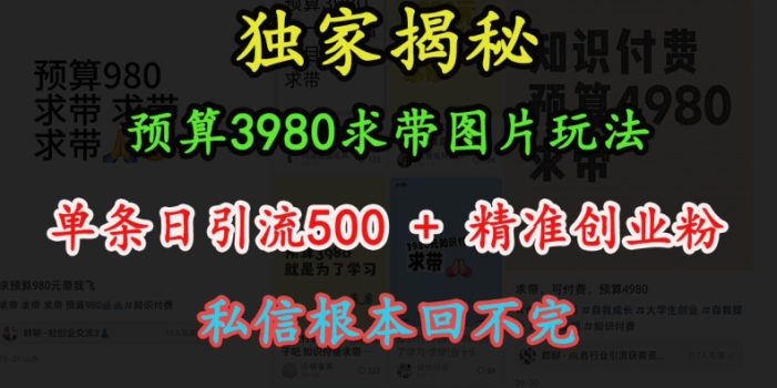 预算3980求带 图片玩法,单条日引流500+精准创业粉,私信根本回不完