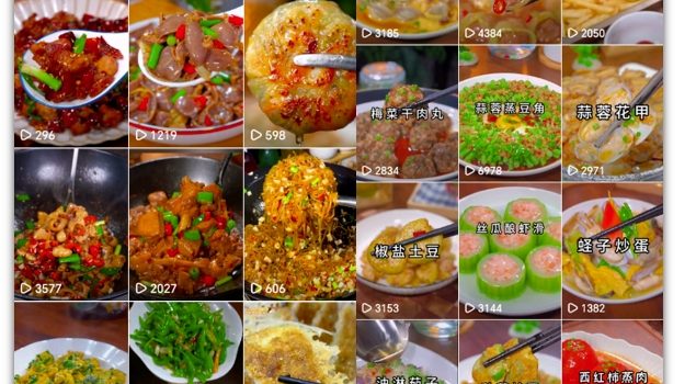 抖音带货美食领域课程,无需真人实拍仅靠剪辑实现涨粉