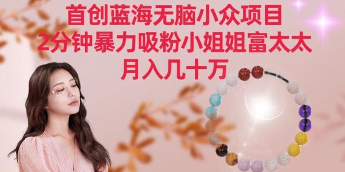 首创蓝海无脑小众项目,2分钟暴力吸粉小姐姐富太太,月入几十万【揭秘】