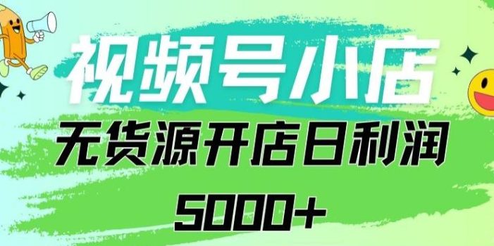 视频号无货源小店从0到1日订单量千单以上纯利润稳稳5000+【揭秘】