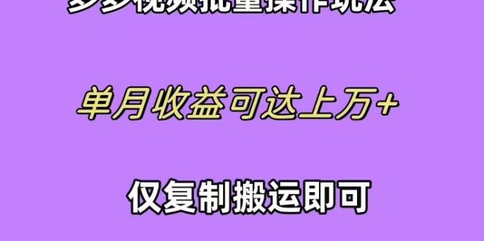 (10029期)拼多多视频带货快速过爆款选品教程 每天轻轻松松赚取三位数佣金 小白必…