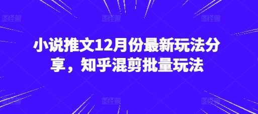 小说推文12月份最新玩法分享,知乎混剪批量玩法