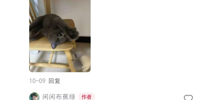 小红书私人定制图项目,附赠一单4W渠道【揭秘】