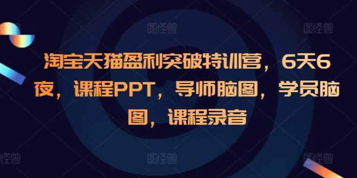 淘宝天猫盈利突破特训营,6天6夜,课程PPT,导师脑图,学员脑图,课程录音