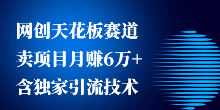 网创天花板赛道,卖项目月赚6万+,含独家引流技术(共26节课)