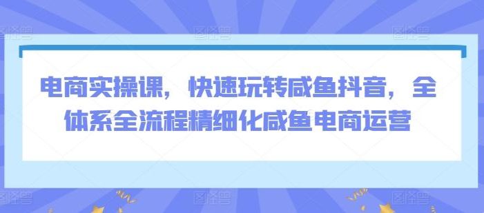 电商实操课,快速玩转咸鱼抖音,全体系全流程精细化咸鱼电商运营