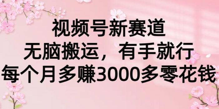 (9278期)视频号新赛道,无脑搬运,有手就行,每个月多赚3000多零花钱