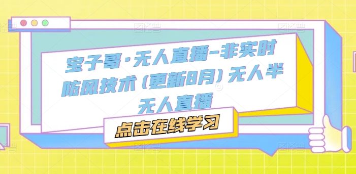 宝子哥·无人直播-非实时防风技术(更新8月)无人半无人直播