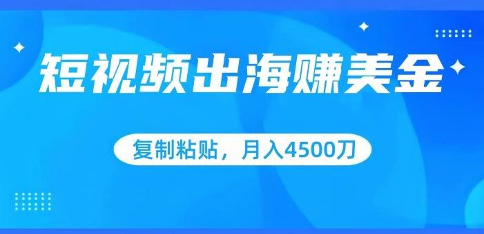 短视频出海赚美金,复制粘贴批量操作,小白轻松掌握,月入4500美刀【揭秘】