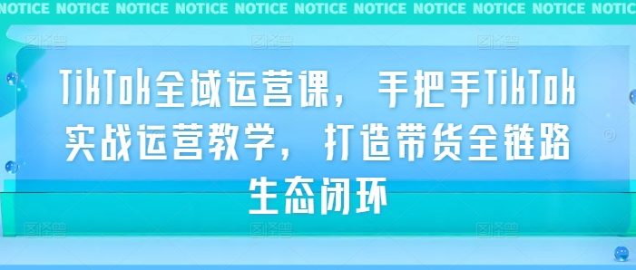 TikTok全域运营课,手把手TikTok实战运营教学,打造带货全链路生态闭环