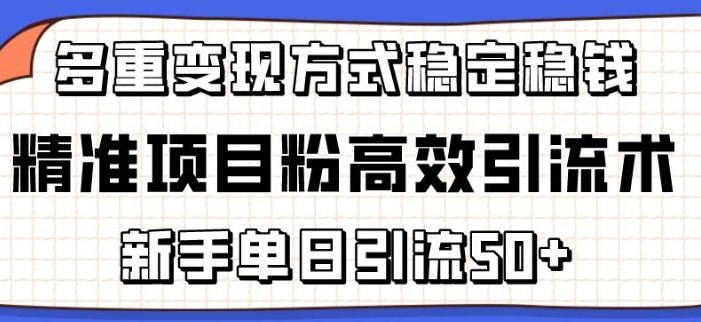 精准项目粉高效引流术,新手单日引流50+,多重变现方式稳定赚钱【揭秘】