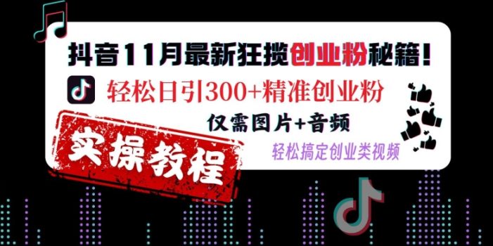 抖音11月最新狂揽创业粉秘籍,轻松日引300+精准创业粉,仅需图片+音频,轻松搞定创业类视频