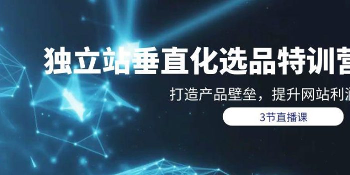 (9925期)独立站-垂直化选品训练营,打造产品壁垒,提升网站利润(3节直播课)