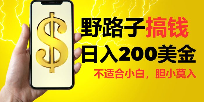 挂机野路子搞钱,日入200美金,路子很野,小白莫入