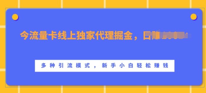 流量卡线上独家代理掘金,日入1k+ ,多种引流模式,新手小白轻松上手【揭秘】