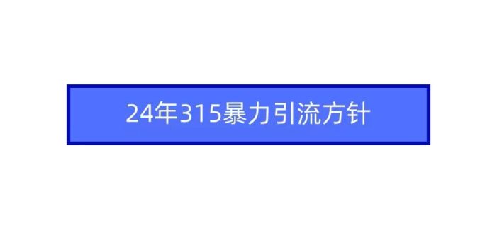(9398期)2024年315暴力引流方针
