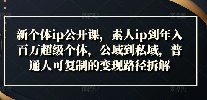 新个体ip公开课,素人ip到年入百万超级个体,公域到私域,普通人可复制的变现路径拆解