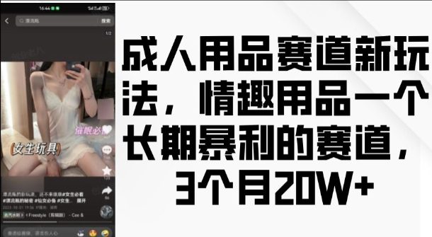 成人用品赛道新玩法,情趣用品一个长期暴利的赛道,3个月收益20个【揭秘】