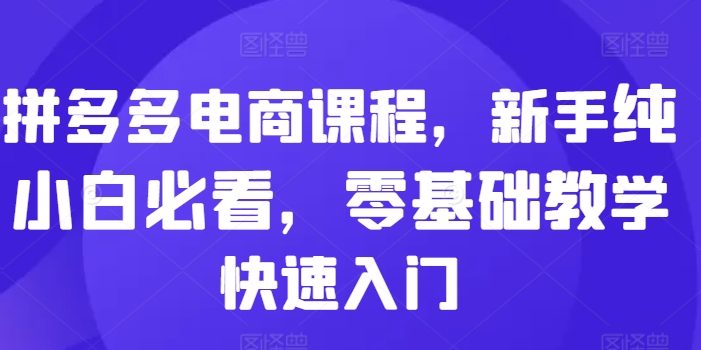 拼多多电商课程,新手纯小白必看,零基础教学快速入门