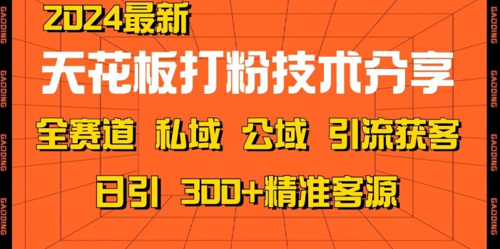 天花板打粉技术分享,野路子玩法 曝光玩法免费矩阵自热技术日引2000+精准客户