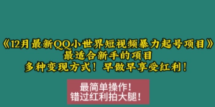 12月最新QQ小世界短视频暴力起号项目,最适合新手的项目,多种变现方式