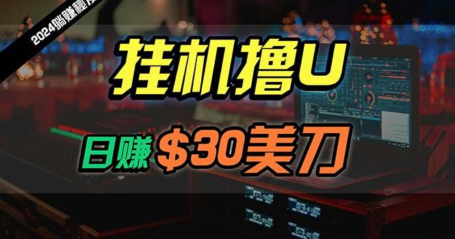 (10013期)日赚30美刀,2024最新海外挂机撸U内部项目,全程无人值守,可批量放大