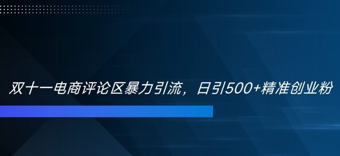 双十一电商评论区暴力引流,日引500+精准创业粉【揭秘】